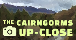 cairngorms up-close